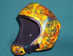 EVOLUTION PRO 51.JPG